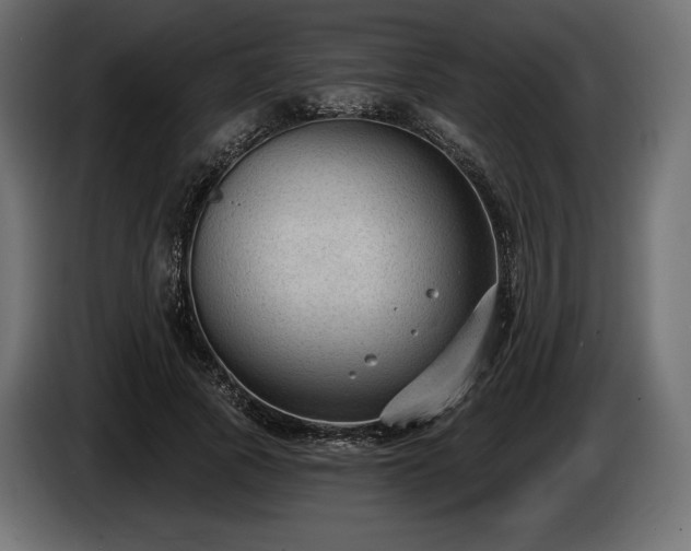 X0000085040737200703051350