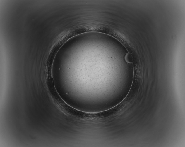 X0000085040738200703051350