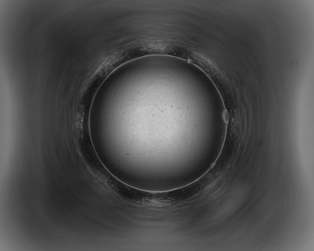 X0000085040739200703051351