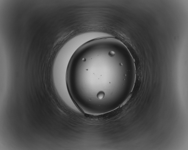X0000085040740200703051351