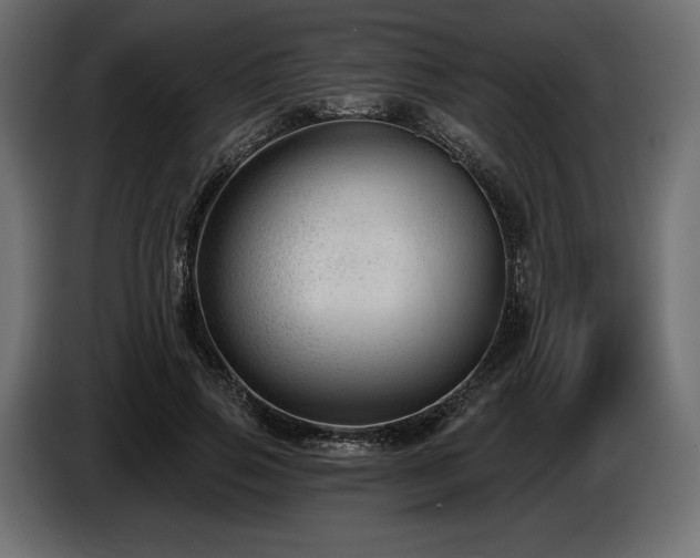 X0000085040741200703051351