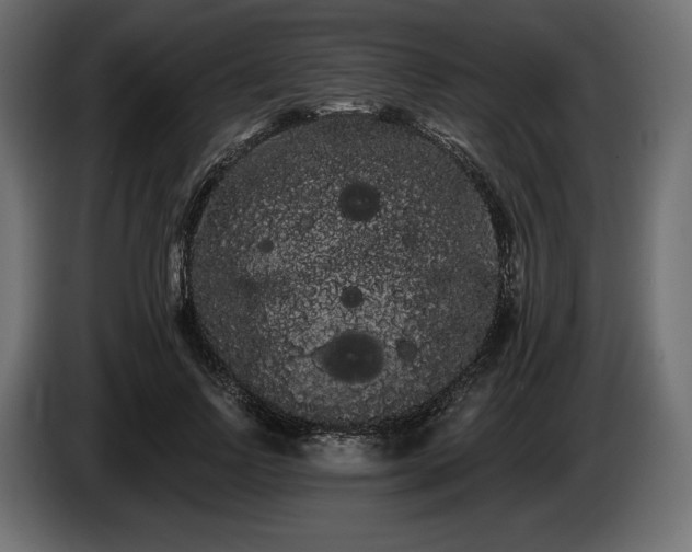 X0000085040742200703051351