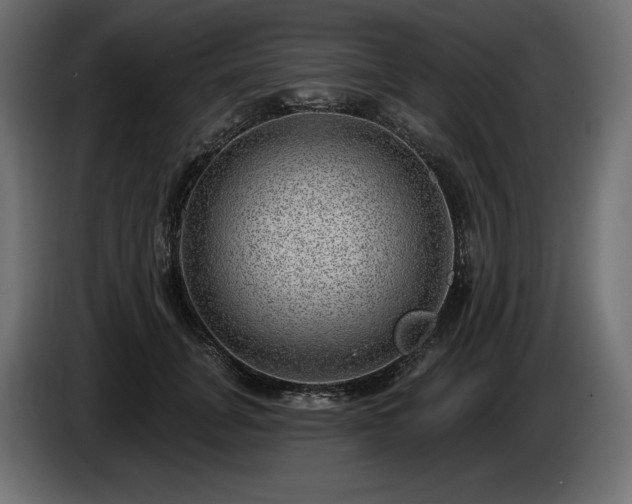 X0000085040751200703051351