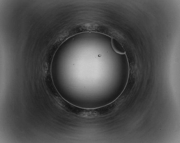 X0000085040752200703051351