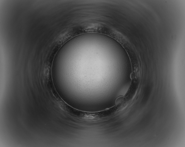 X0000085040753200703051351
