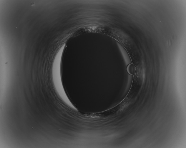 X0000085040754200703051351