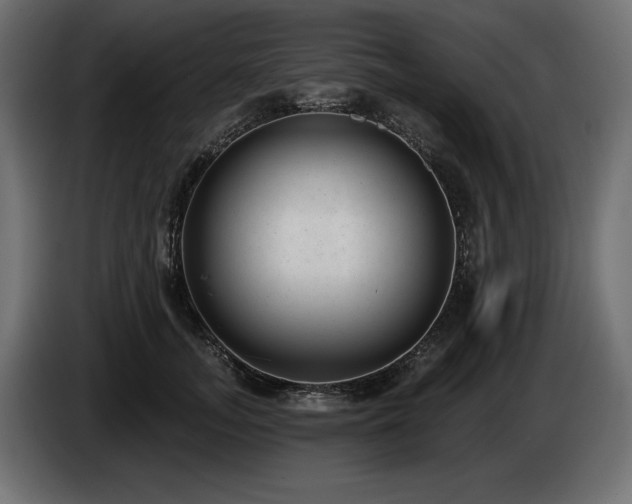 X0000085040755200703051351