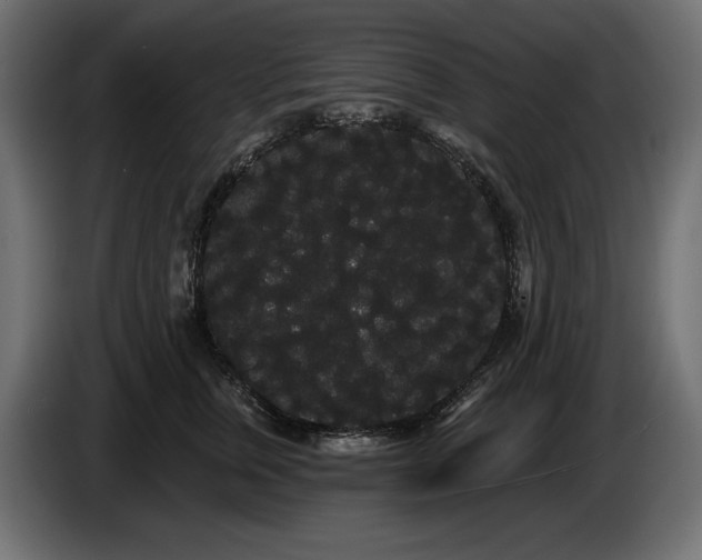 X0000085040759200703051351