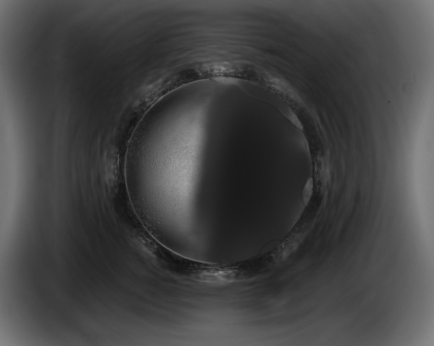 X0000085040760200703051351