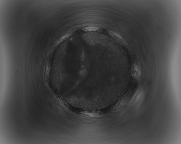 X0000085040763200703051351