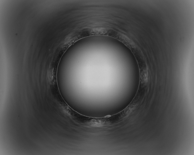 X0000085040764200703051351