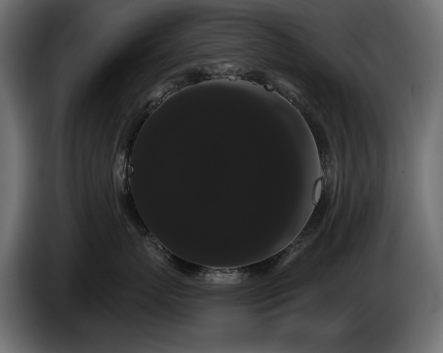 X0000085040767200703051351