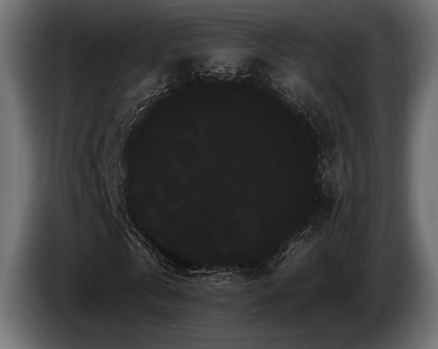 X0000085040769200703051350