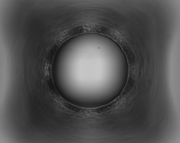 X0000085040770200703051350