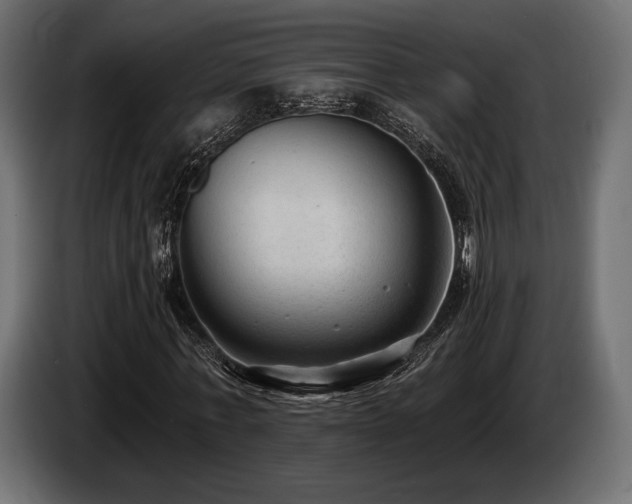 X0000085040771200703051350