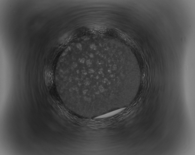 X0000085040772200703051350
