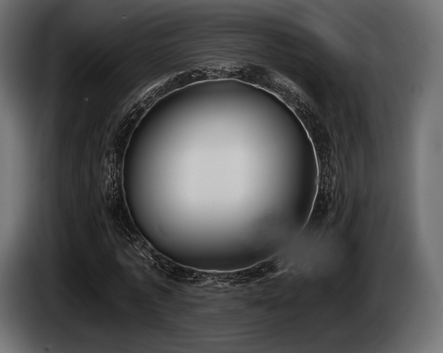 X0000085040773200703051350