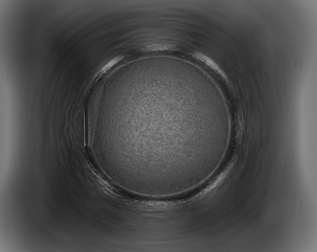 X0000085040777200703051350