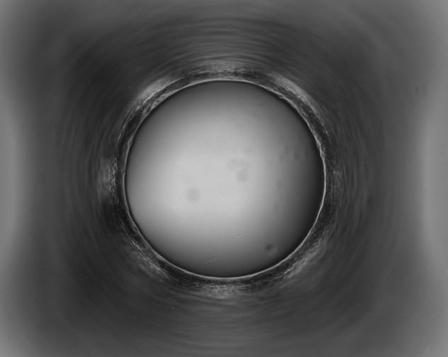 X0000085040778200703051350