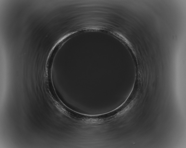 X0000085040779200703051350