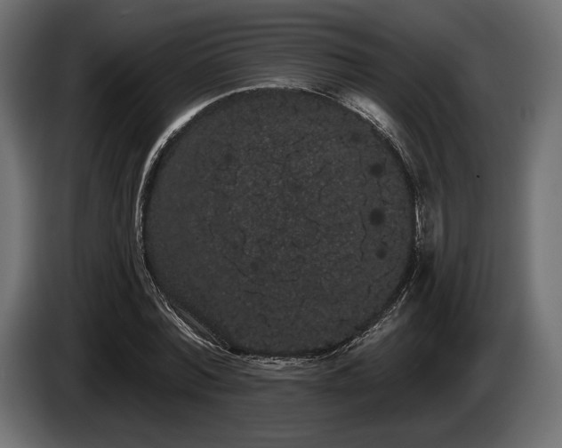 X0000085040780200703051350