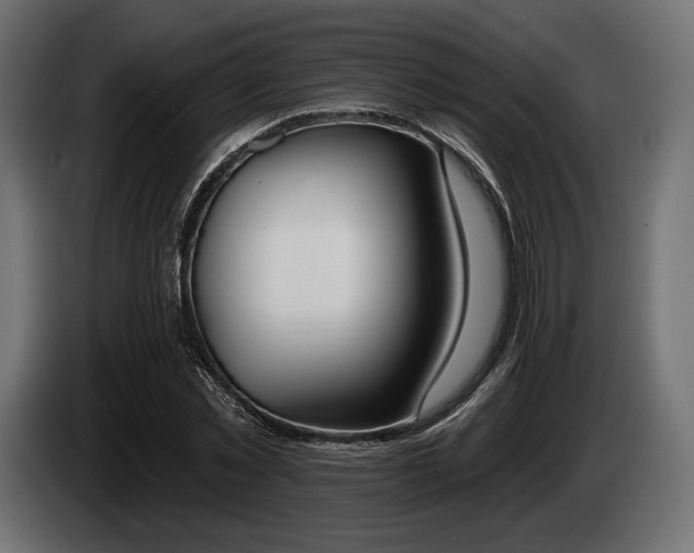 X0000085040781200703051350