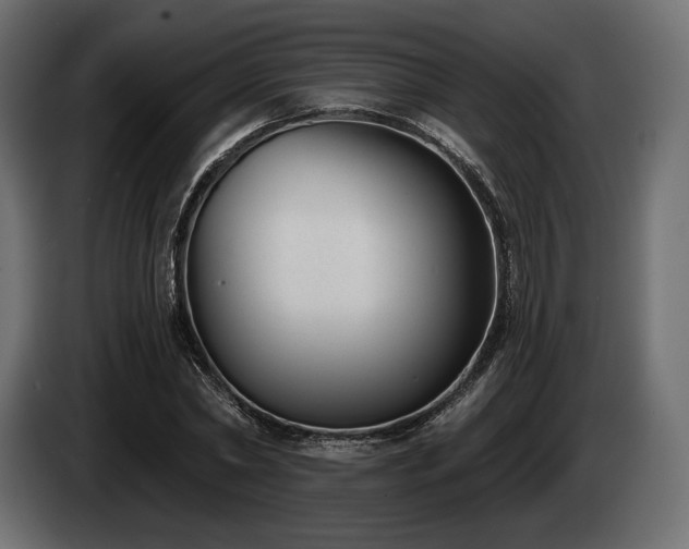 X0000085040782200703051350