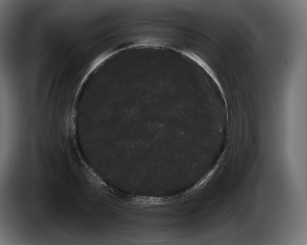 X0000085040783200703051350