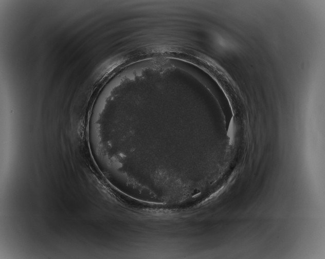 X0000085040785200703051350