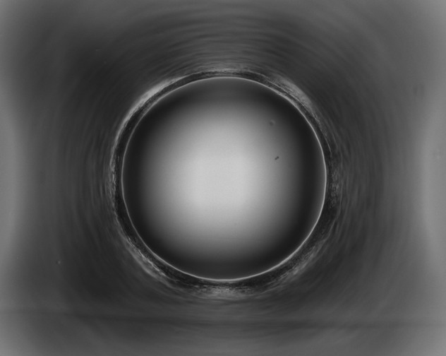 X0000085040787200703051350