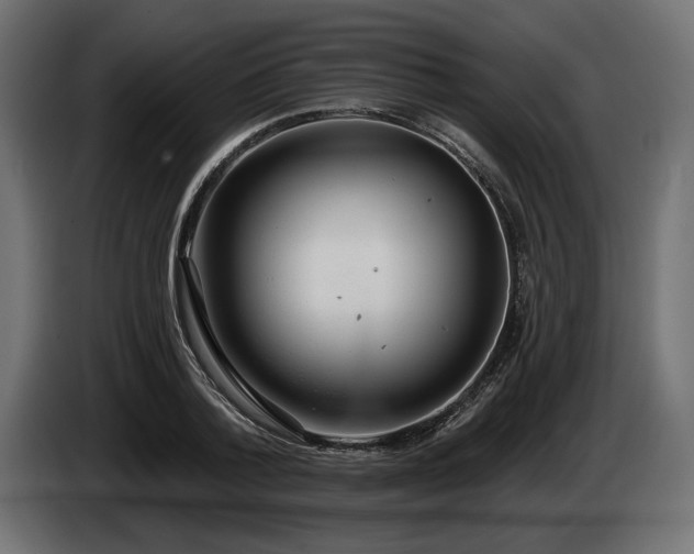 X0000085040788200703051350