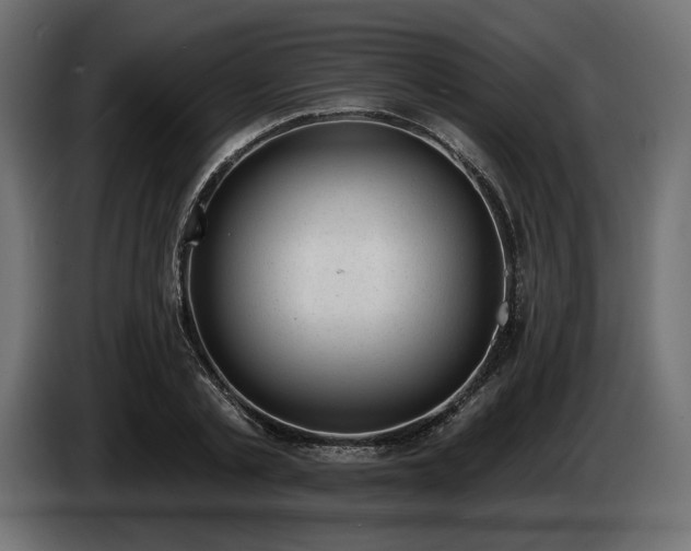 X0000085040789200703051350