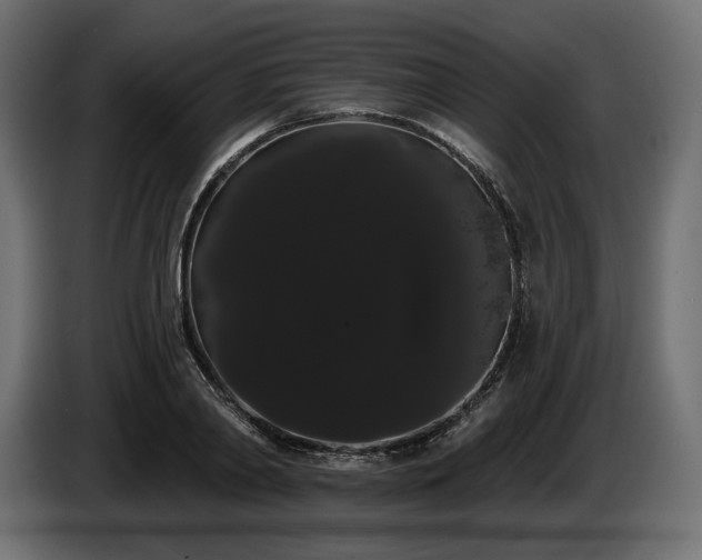 X0000085040790200703051350