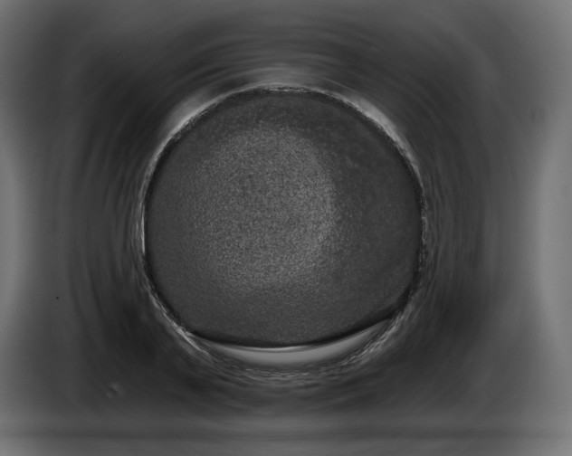 X0000085040791200703051350
