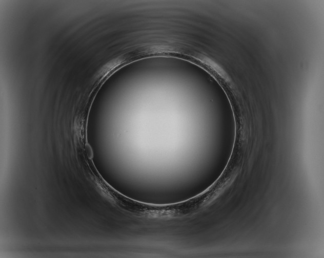 X0000085040793200703051350
