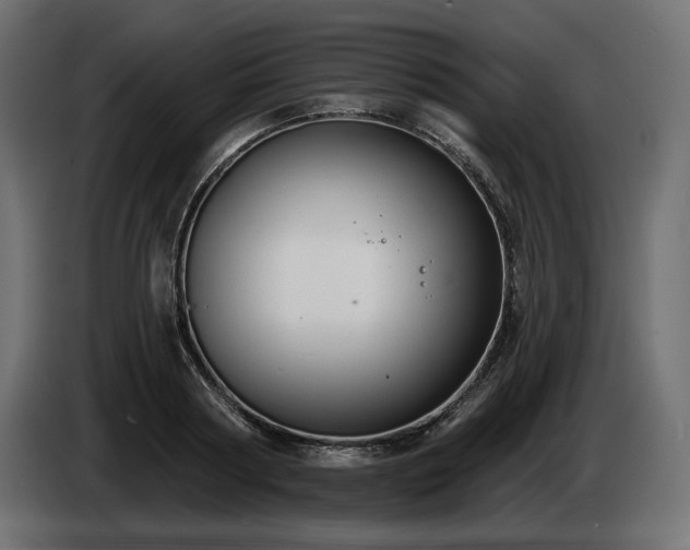 X0000085040794200703051350
