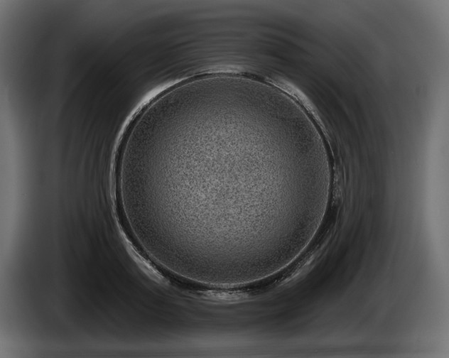 X0000085040795200703051350