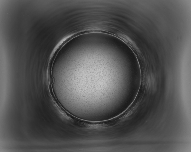 X0000085040796200703051350