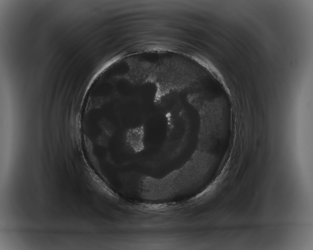 X0000085040798200703051350
