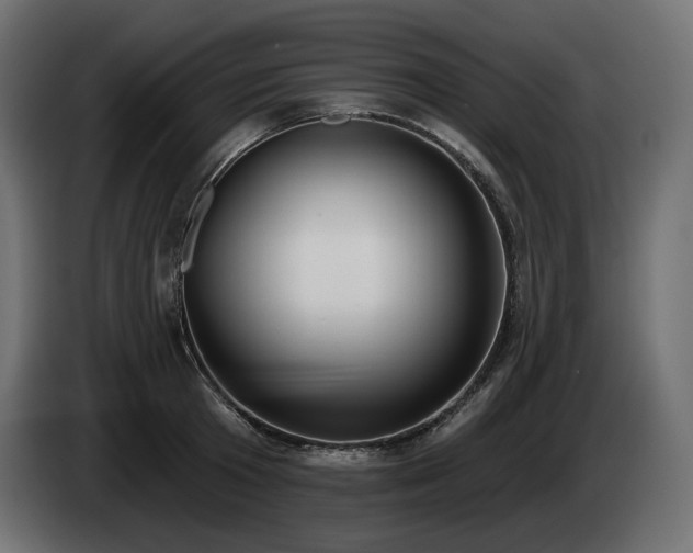 X0000085040801200703051350