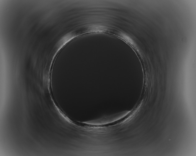 X0000085040802200703051350