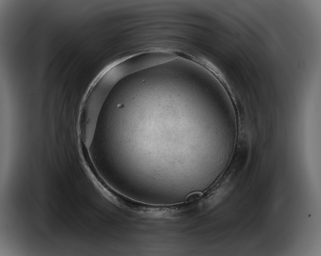 X0000085040803200703051350