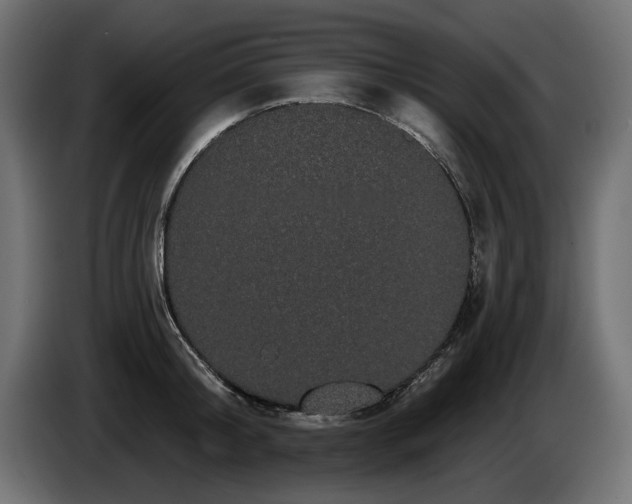 X0000085040804200703051350