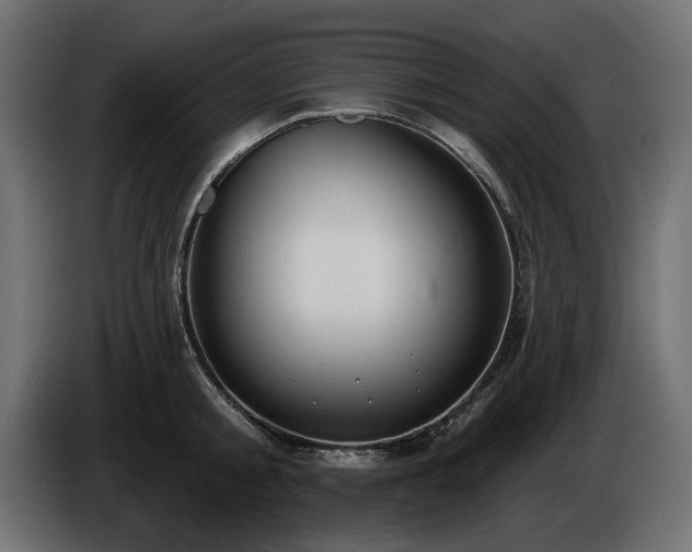 X0000085040805200703051350