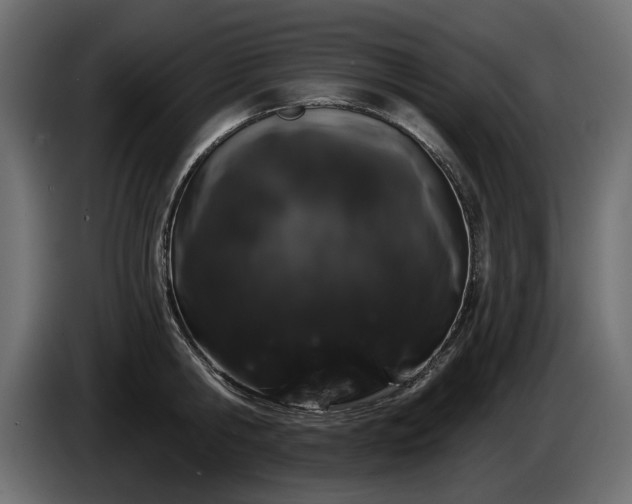 X0000085040806200703051350