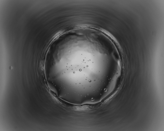 X0000085040809200703051350
