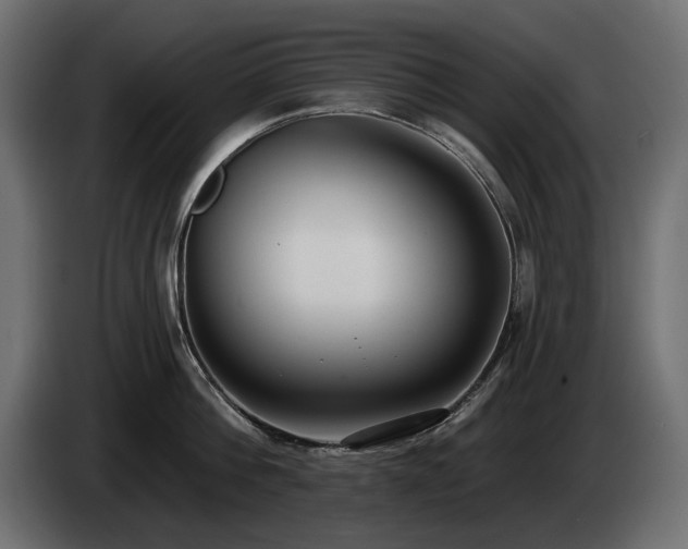 X0000085040812200703051350