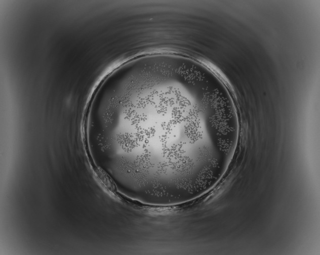 X0000085040813200703051350