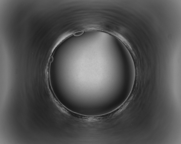 X0000085040814200703051350
