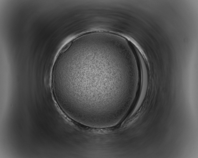 X0000085040815200703051350
